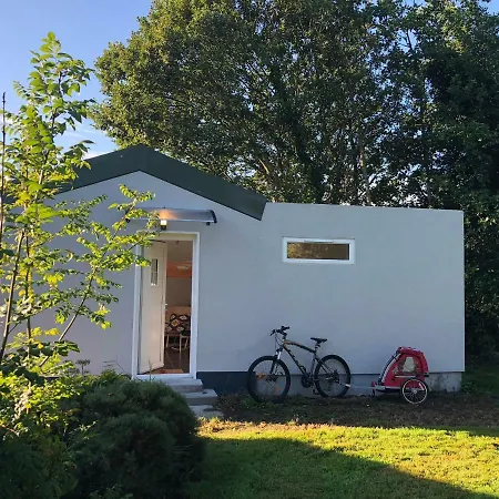 The Shed